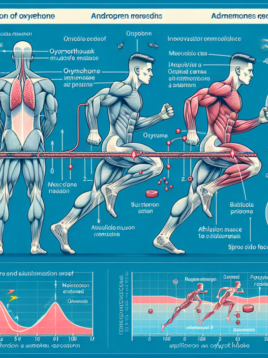 Mechanism of action and impact on athletic performance of oxymetholone injection