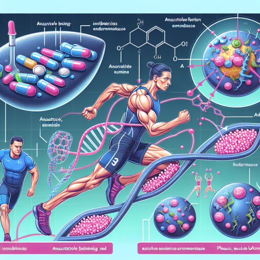Mechanism of action of anastrozole in sports