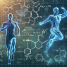 Enclomifene citrate and its influence on sports performance
